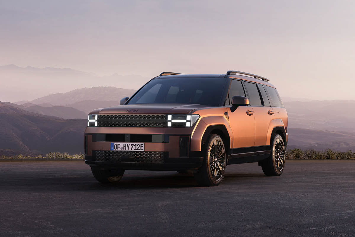 zu sehen ist ein Hyundai Santa FE
