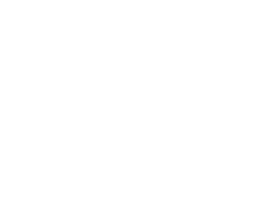 Icon Auto Batterie
