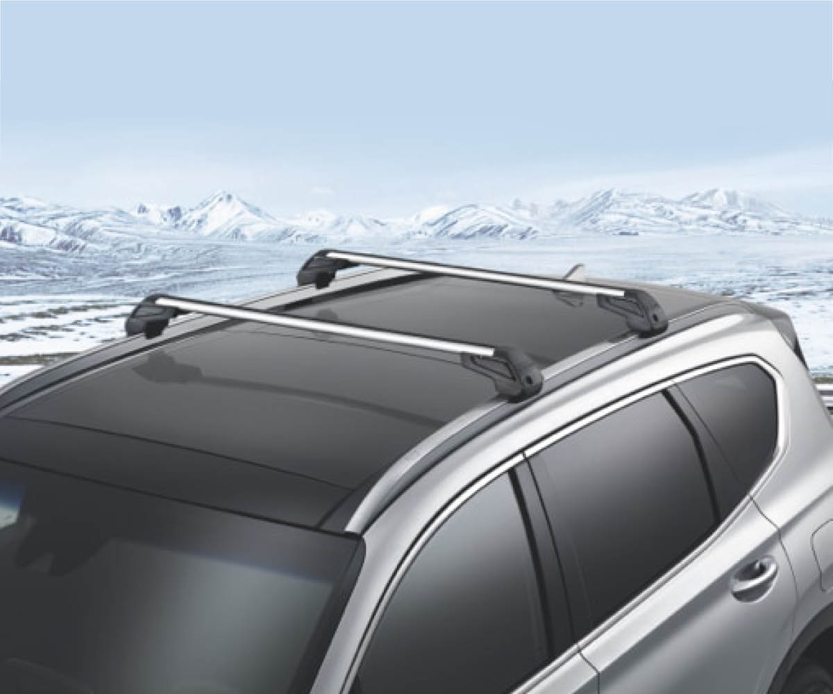 zu sehen sind Hyundai Dachträger auf einem Auto